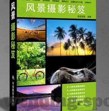 梦幻足球怎么比分无效-揭秘梦幻足球比分无效之谜,规则漏洞还是操作失误?